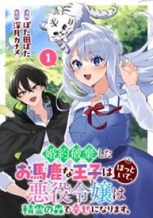 婚約破棄したお馬鹿な王子はほっといて、悪役令嬢は精霊の森で幸せになります。
