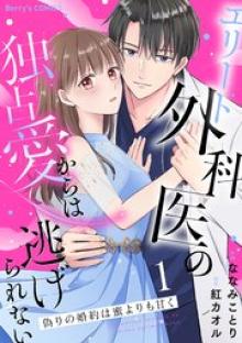 偽りの婚約は蜜よりも甘く～エリート外科医の独占愛からは逃げられない～