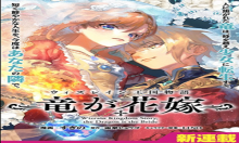 ウィズレイン王国物語～竜が花嫁～