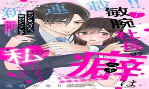 敏腕社長の癖は私だそうです! 3連敗ガールは 御曹司に周到に娶られる