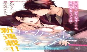 セカンドラブ ~彼はそれを愛と呼ばない~