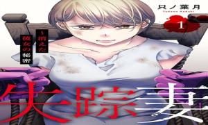 失踪妻～消えた彼女の秘密